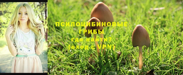 бутират Абаза